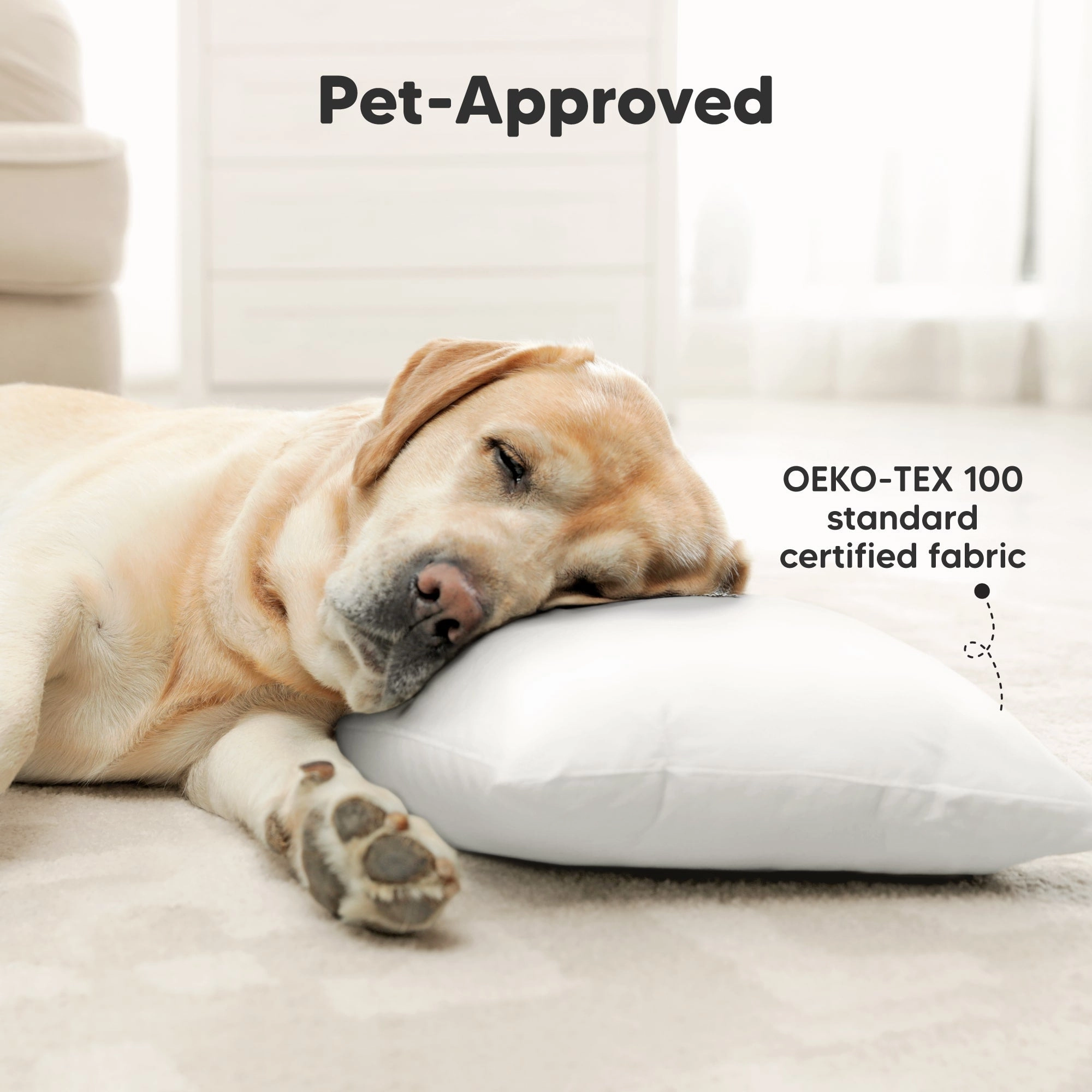 2-Pack Jumbo Toddler Pillows