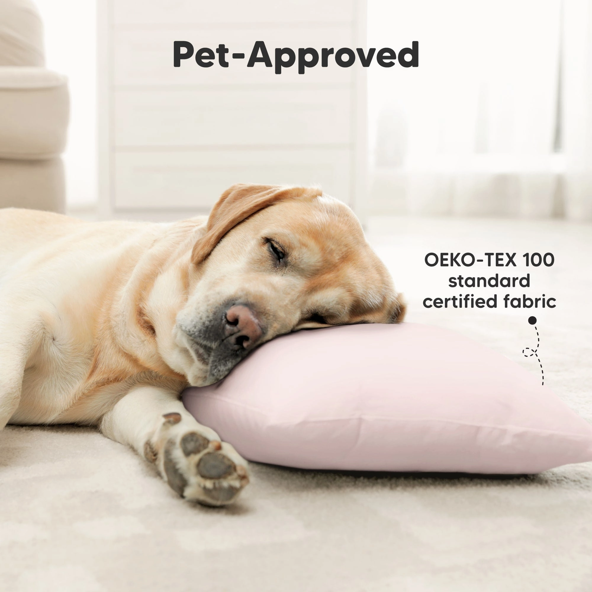 2-Pack Jumbo Toddler Pillows (Mist Pink)