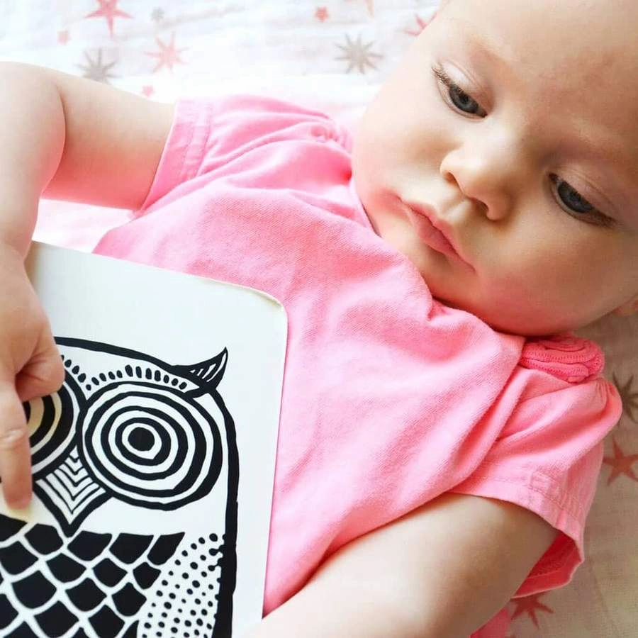 Art Cards for Baby - Pets