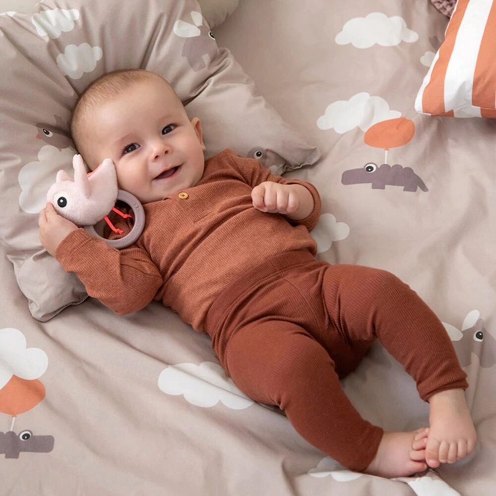 Done By Deer Sensory Rattle W/Teether Birdee Powder