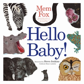 Hello Baby Book