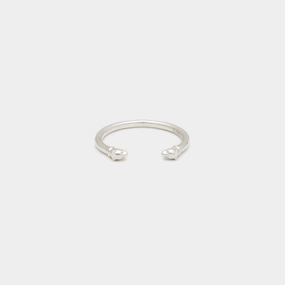 Lioness Ring in Silver for Him