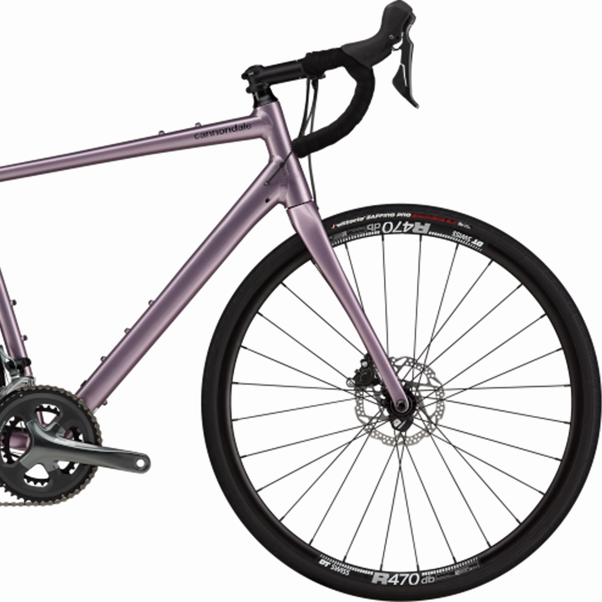 Synapse 2