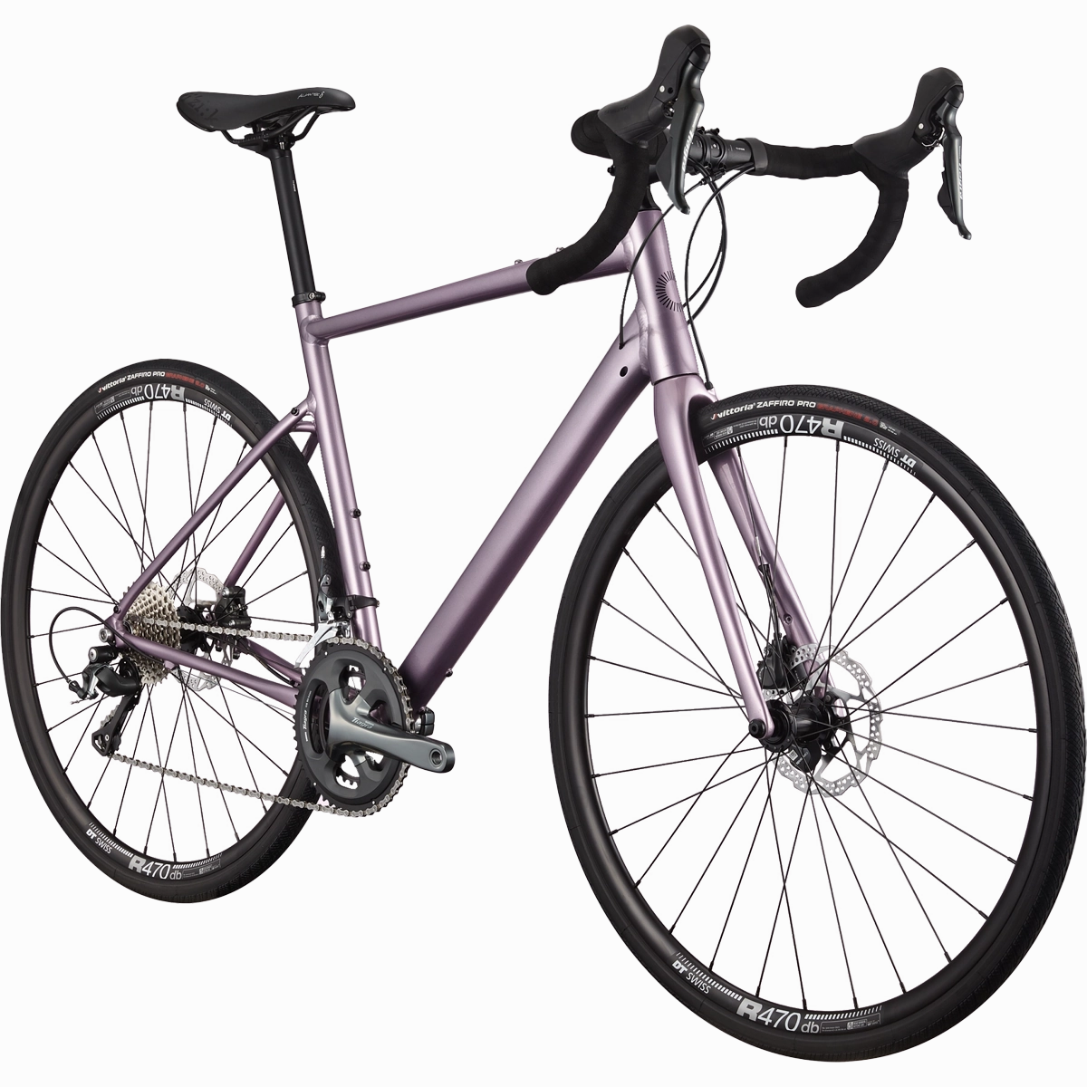Synapse 2