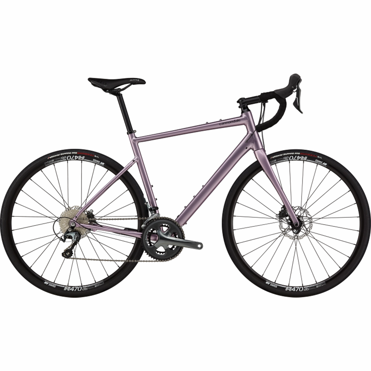 Synapse 2