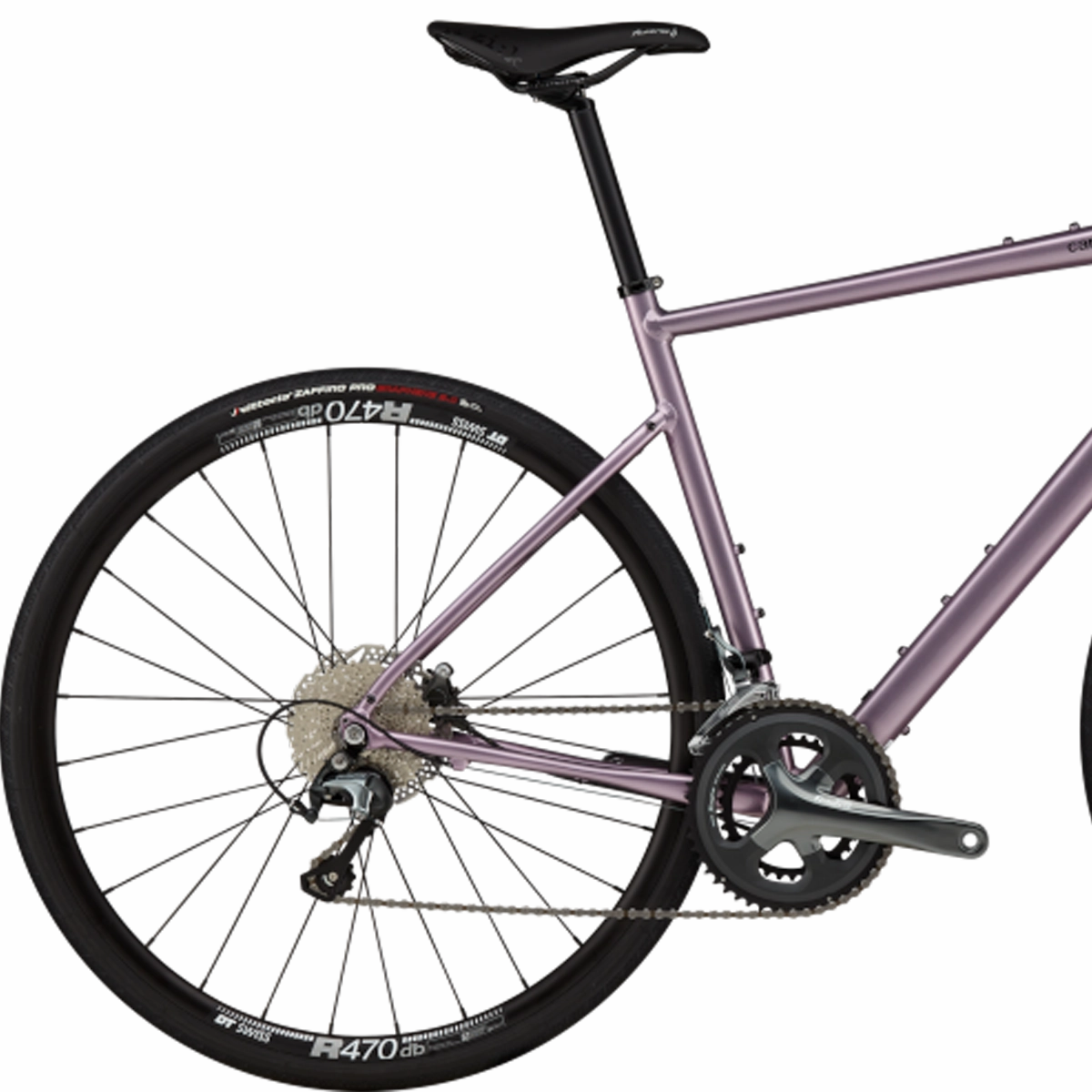 Synapse 2