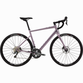 Synapse 2