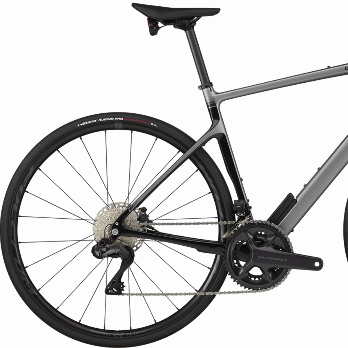 Synapse Carbon 2 RLE