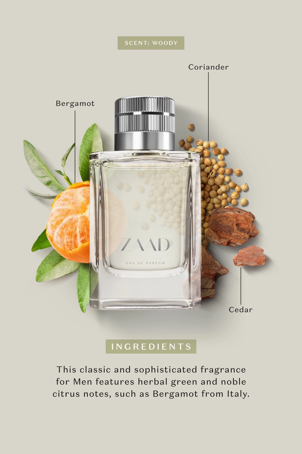 Zaad Eau de Parfum for Men